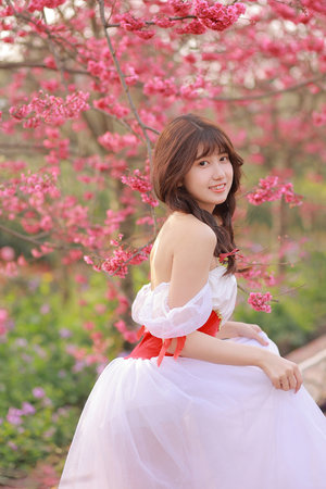 佐佐木希av